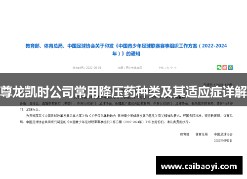 尊龙凯时公司常用降压药种类及其适应症详解