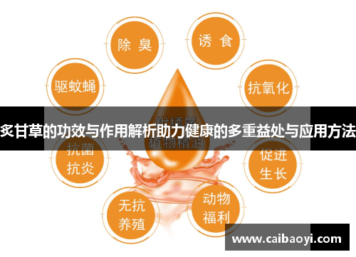 炙甘草的功效与作用解析助力健康的多重益处与应用方法