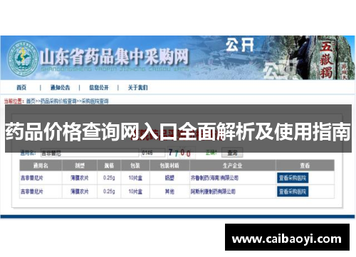 药品价格查询网入口全面解析及使用指南